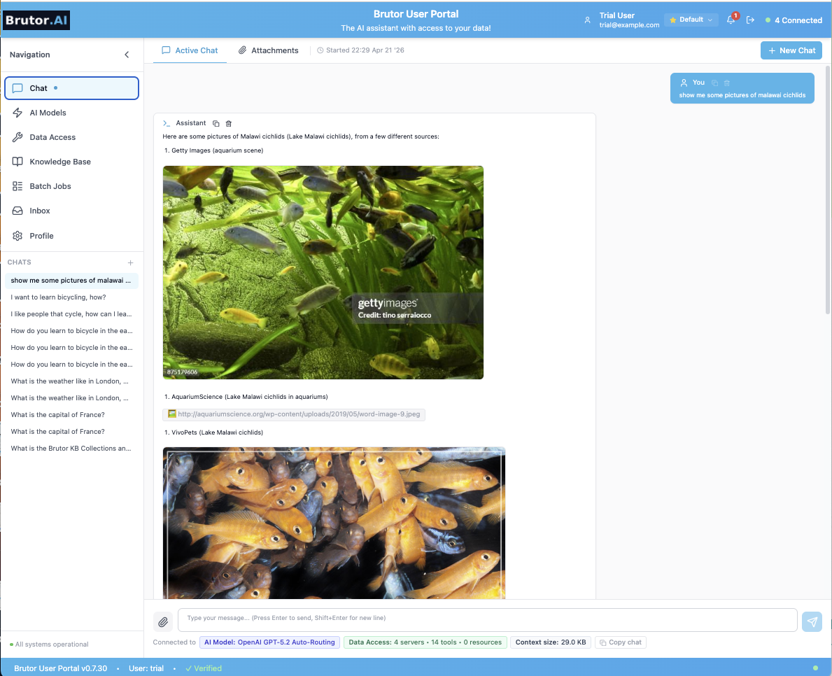 Brutor AI User Portal capability overview